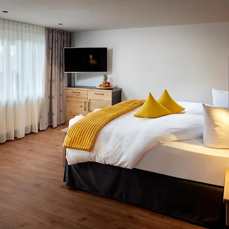 Maximilian Appartements-3